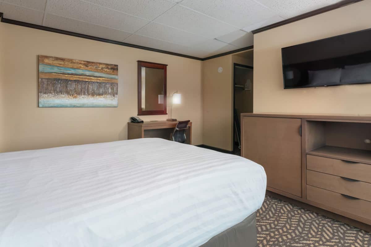 Standard Room, 1 King Bed, Mobility Accessible