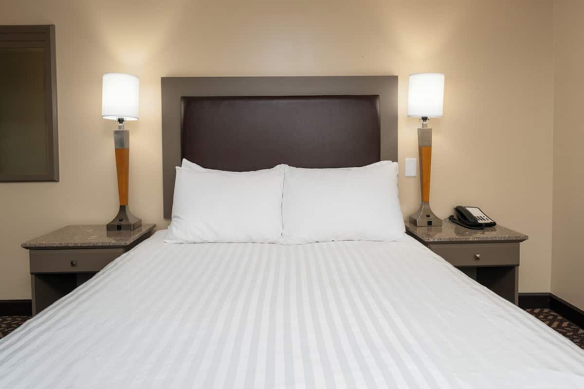 Standard Room, 1 Queen Bed, Pets allowed