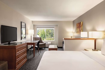 Room, 1 King Bed, Non Smoking | Hypo-allergenic bedding, desk, blackout drapes, iron/ironing board at Radisson Hotel Portland Airport