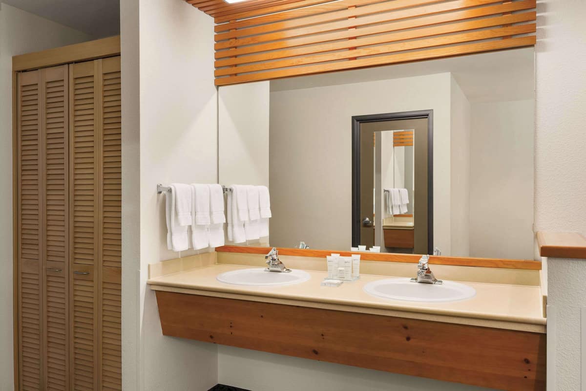 suite, 1 bedroom, non smoking | 1 bedroom, hypo-allergenic bedding, desk, blackout curtains