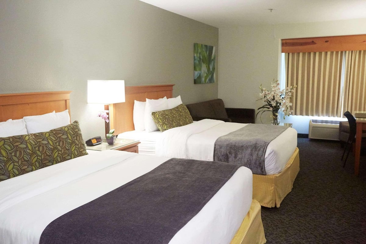 Room, 2 Queen Beds, Non Smoking | 1 bedroom, hypo-allergenic bedding, desk, blackout drapes