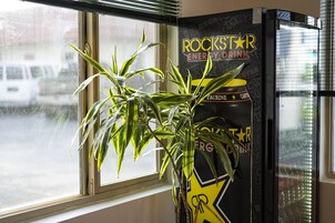 Una ventana con una planta en maceta y una máquina expendedora de Rockstar Energy.