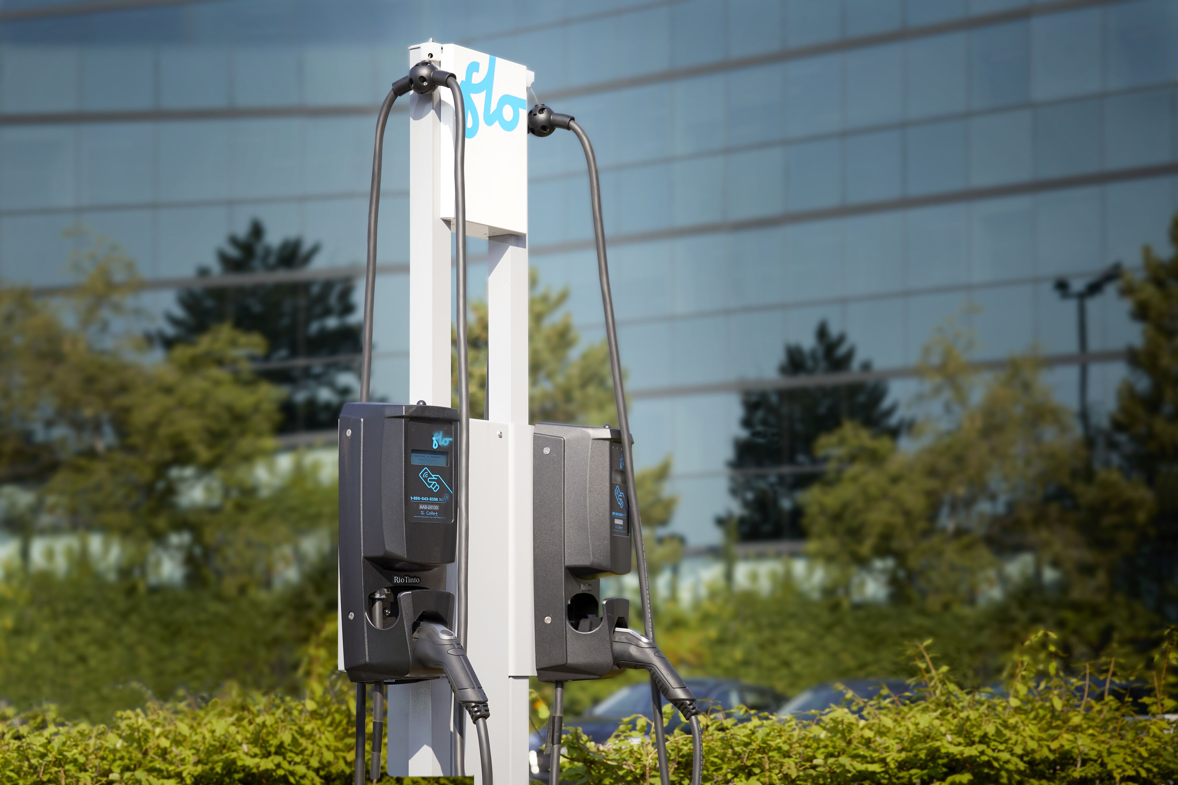 Foto - Hotel Ruby Foo's