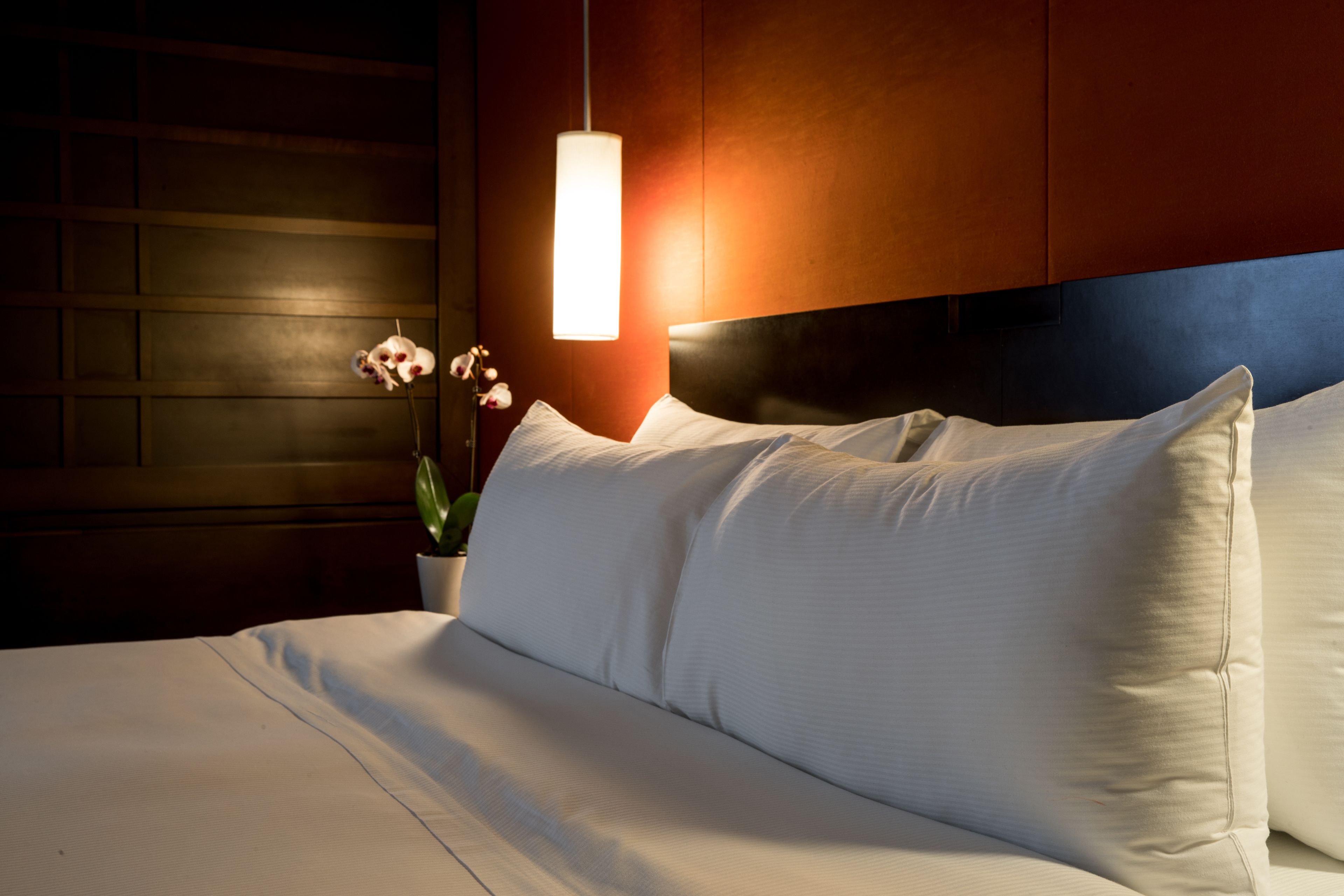 豪華客房, 1 張特大雙人床 | 高級寢具、房內夾萬、書桌、手提電腦工作空間