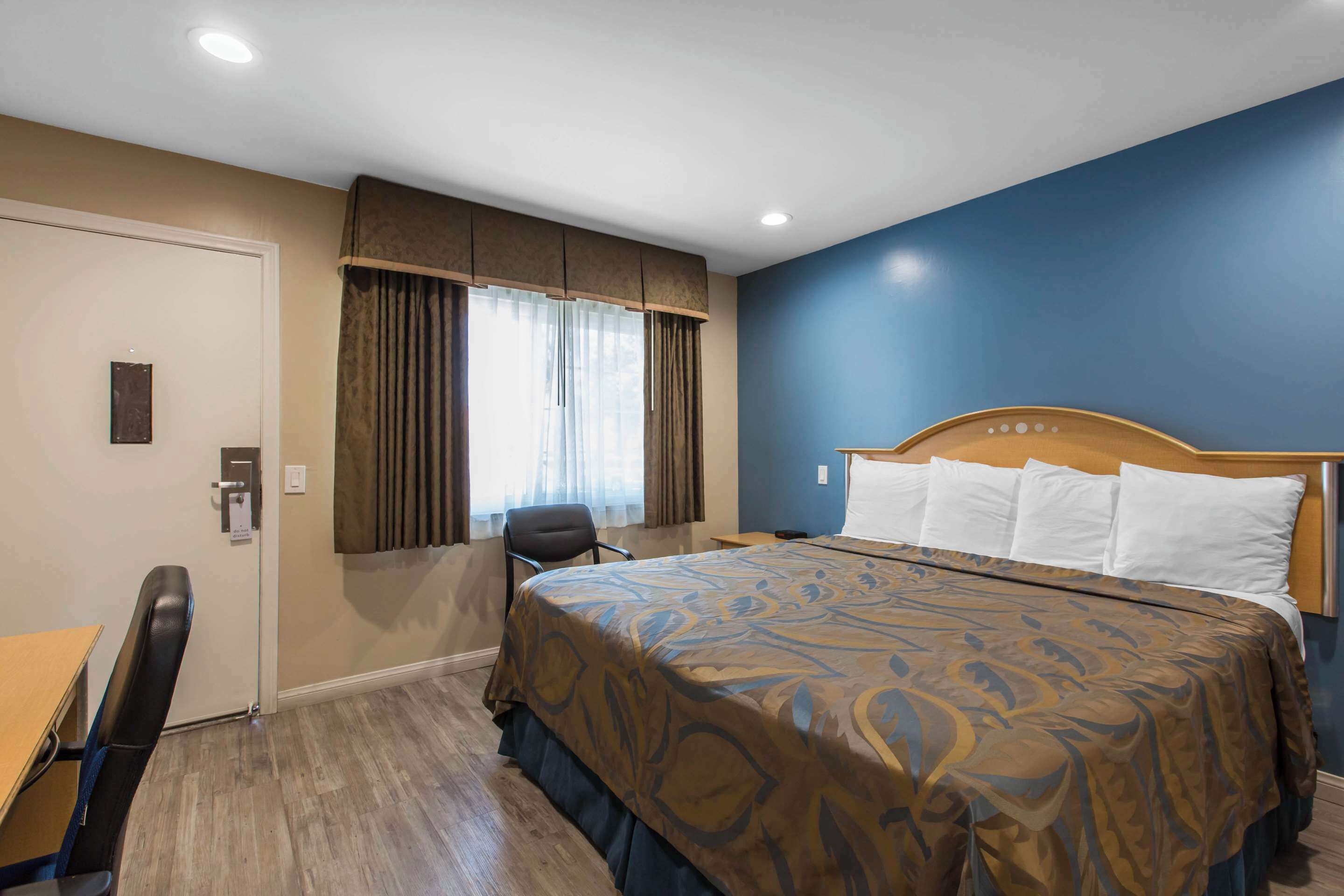 A hotel room with a bed, a desk, a chair, a window with curtains, and a door.