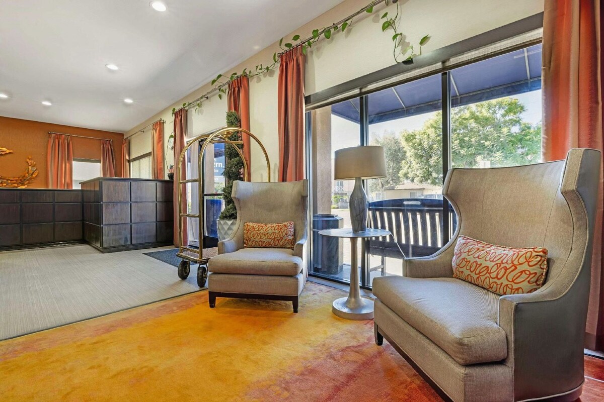 A modern hotel room with a large window, two armchairs, a small table, and a decorative plant.