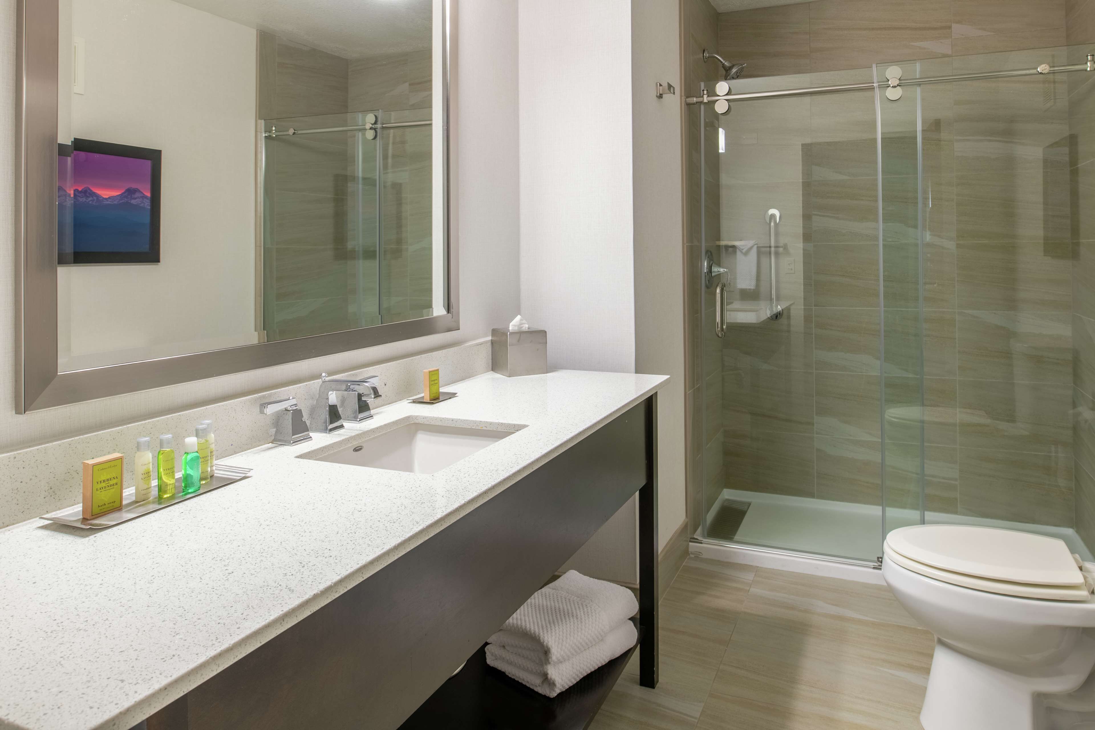 junior suite, 1 king bed, fireplace | bathroom | free toiletries, hair dryer, towels, soap