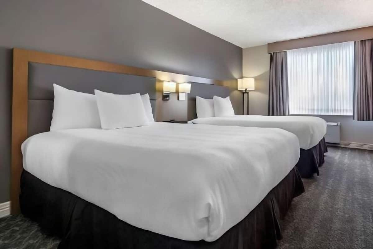 1 chambre, literie de qualité, lit avec matelas à plateau-coussin