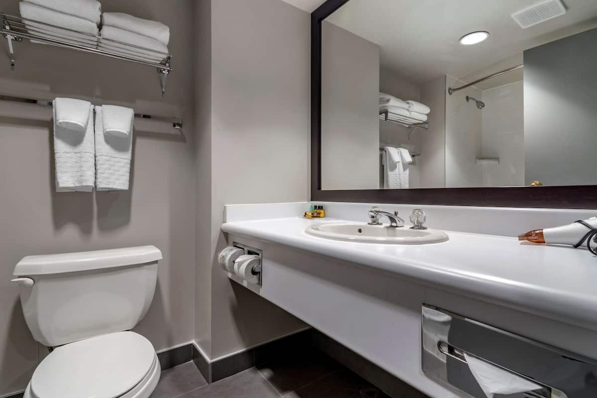 eco-friendly toiletries, hair dryer, towels, soap