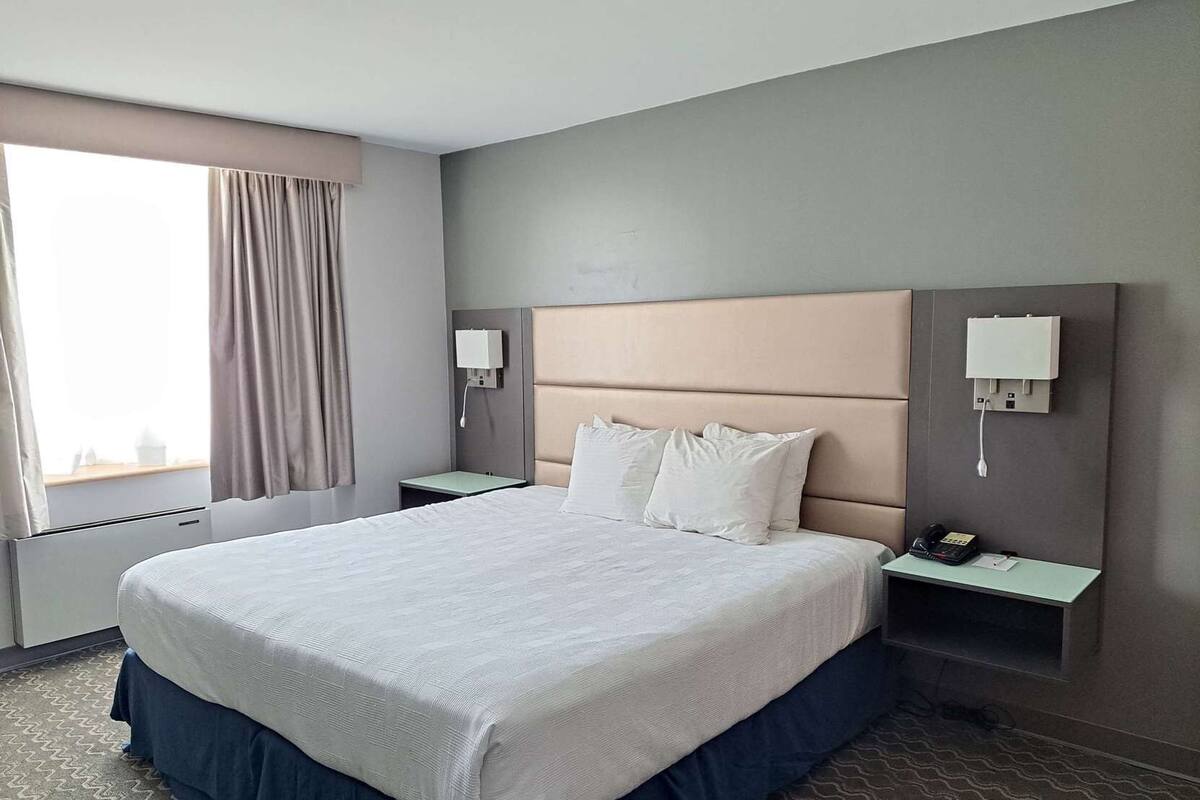 Premium bedding, pillow-top beds, in-room safe, desk