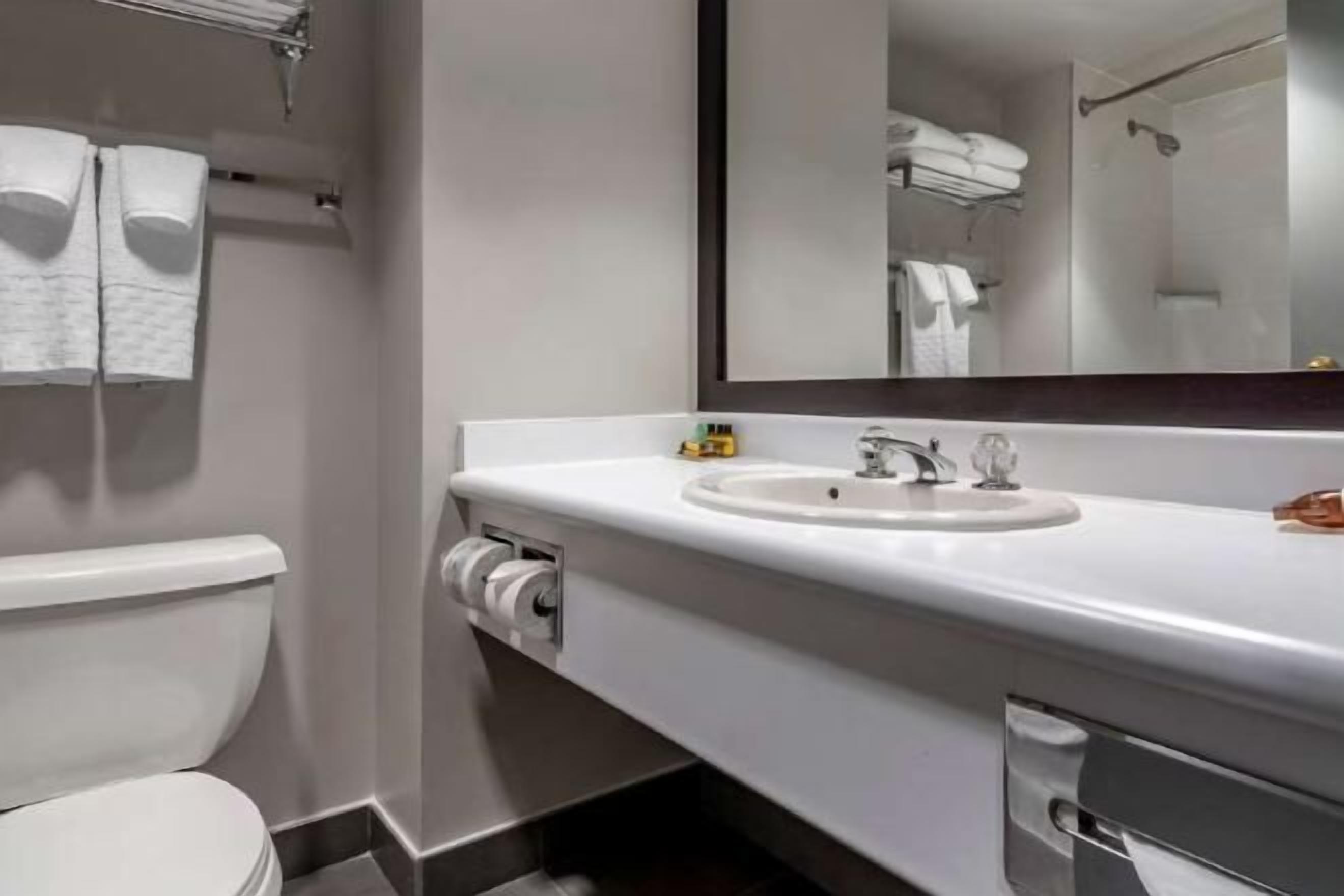 Articles de toilette écologiques, séchoir à cheveux, serviettes fournies