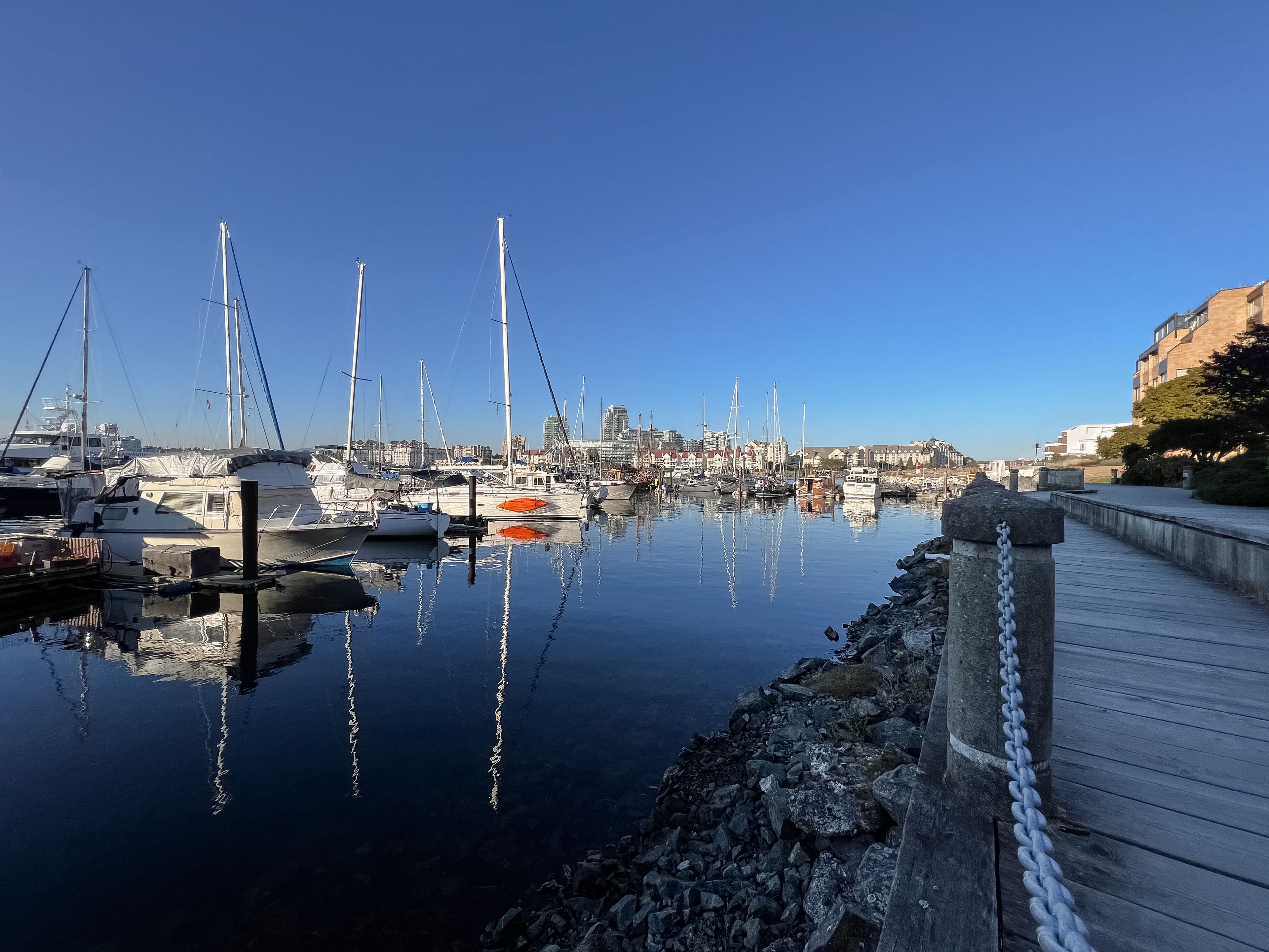 Un port esportiu amb vaixells amarrats, un camí de fusta i un paisatge urbà al fons.