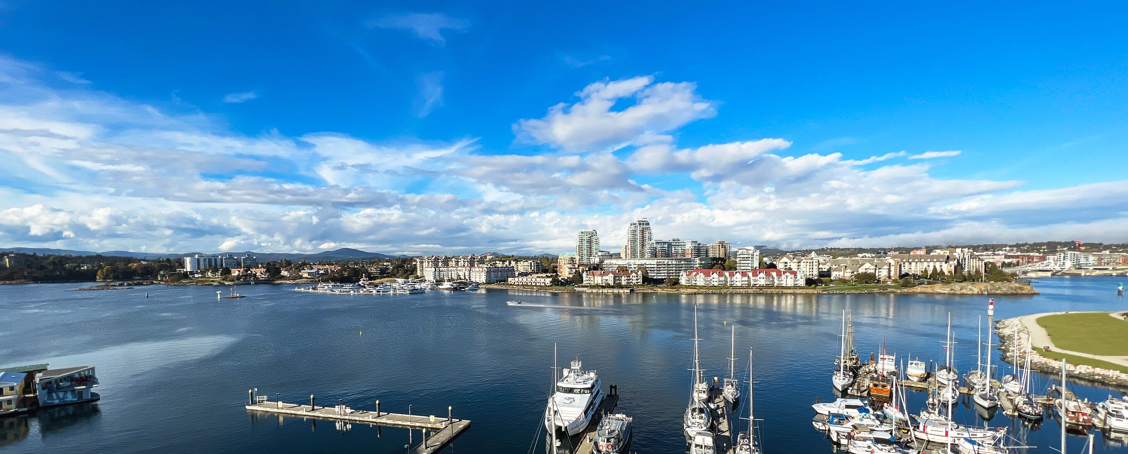 A marina with boats docked, a pier, and a cityscape in the background.