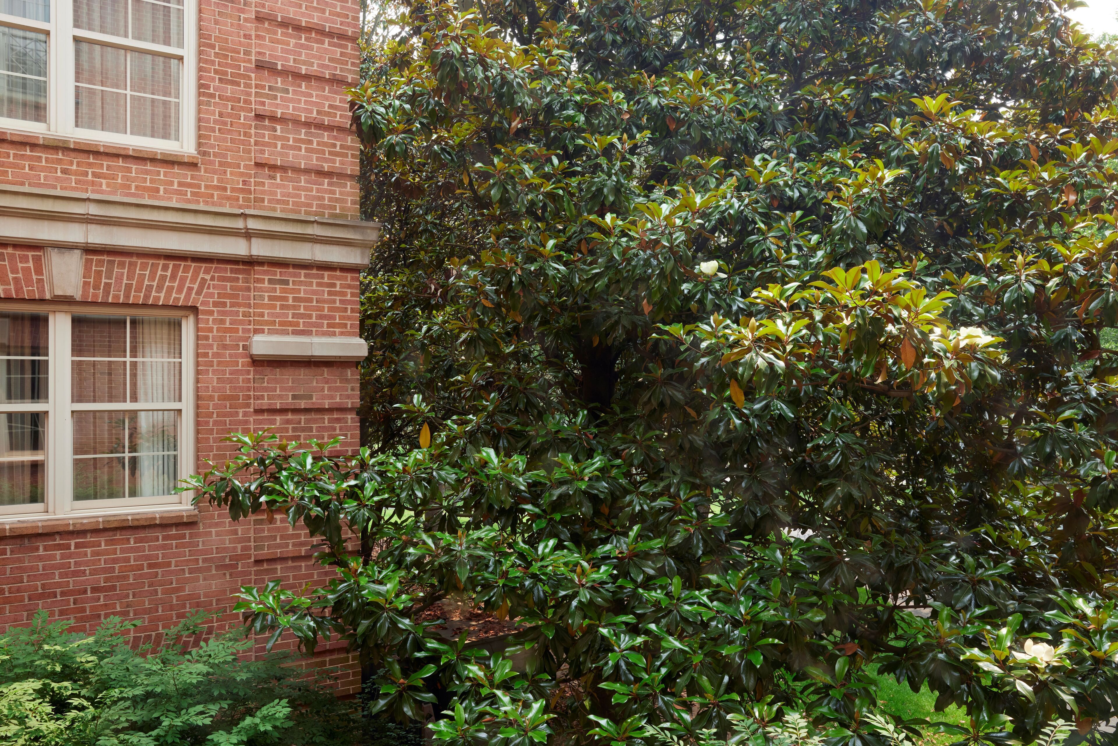 premium bedding, down duvets, in-room safe, desk