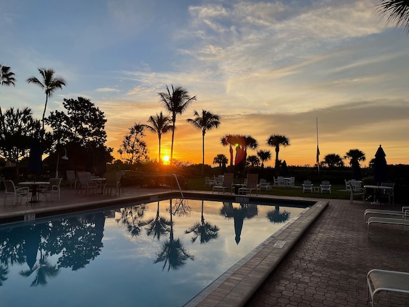 Una piscina al aire libre, sombrillas, tumbonas