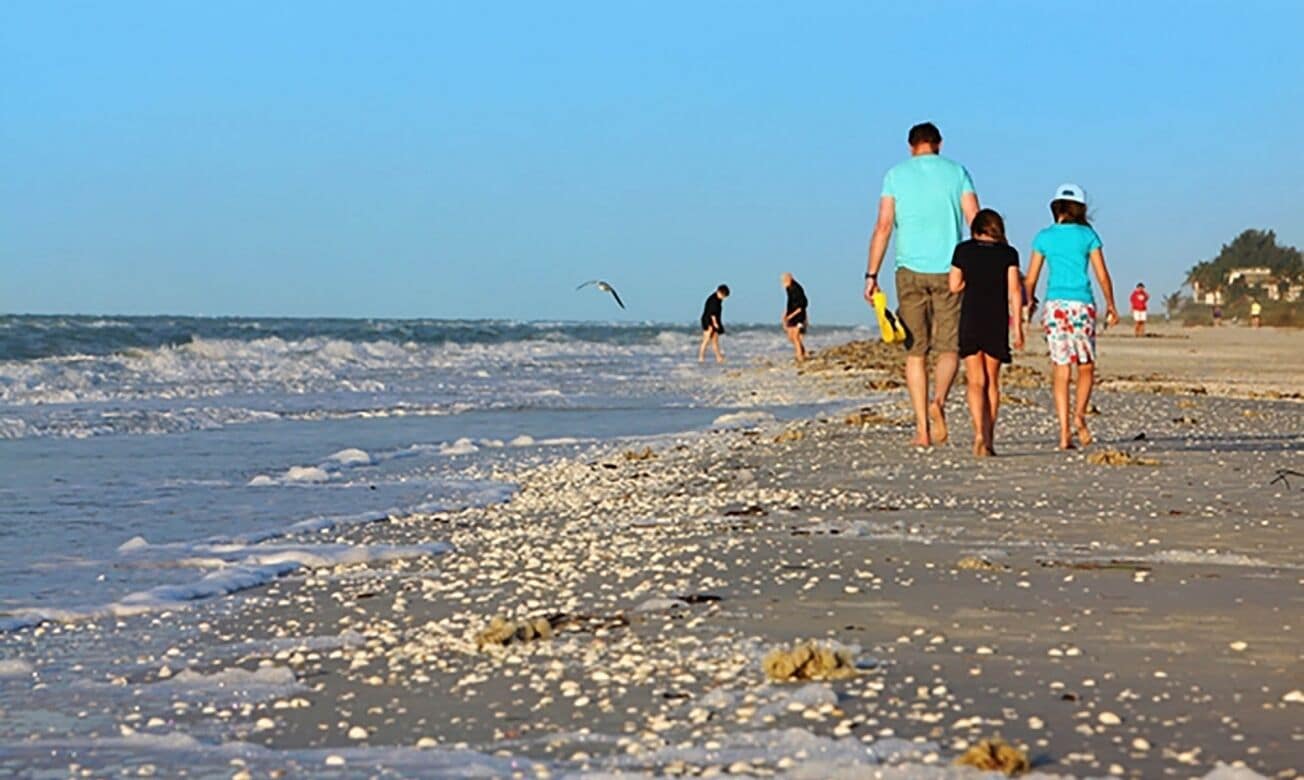 A beach with people walking along the shore.