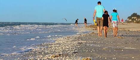 A beach with people walking along the shore.