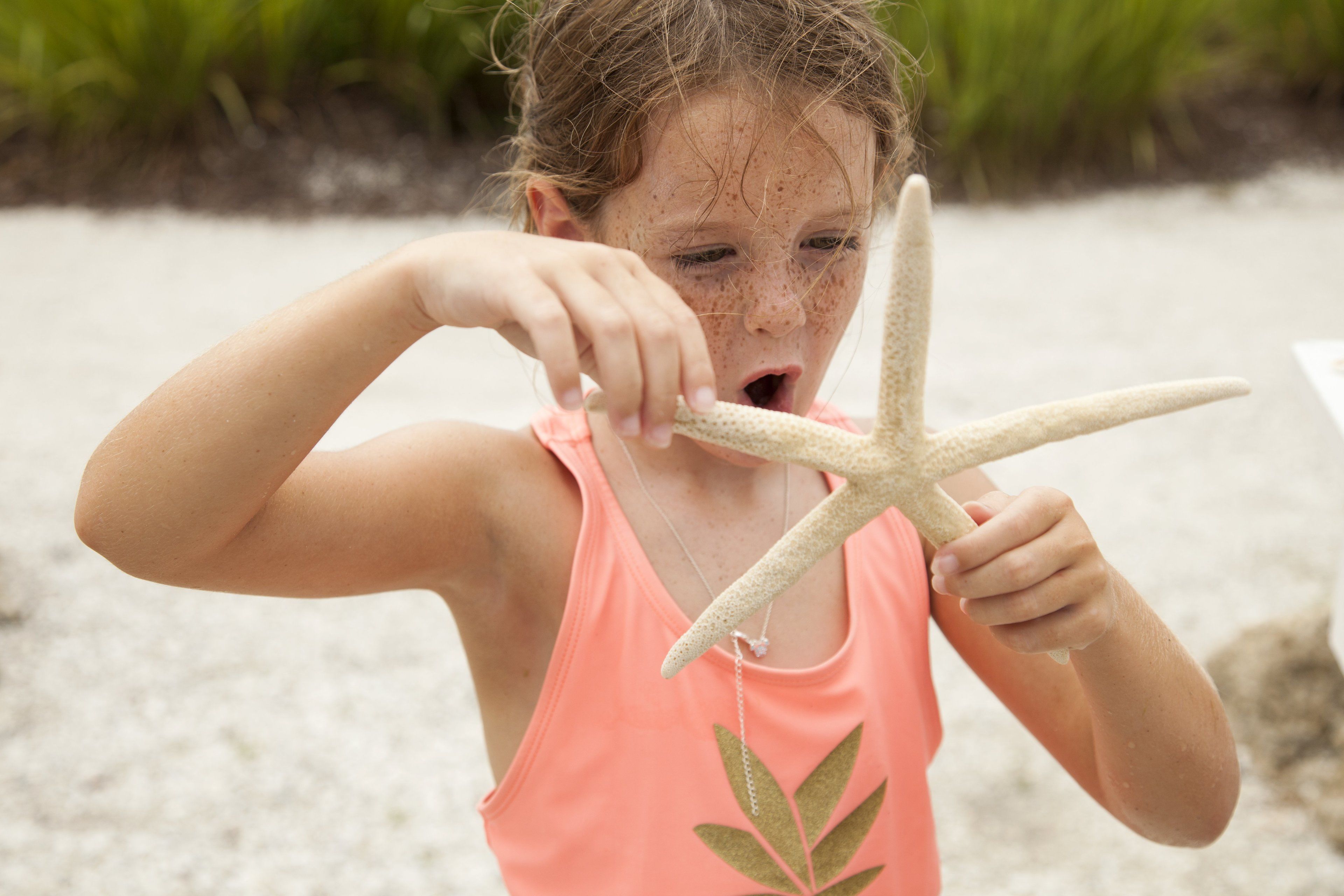 Een kind houdt een zeester aan op een zanderig strand.