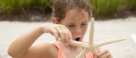 A child holding a starfish on a sandy beach.