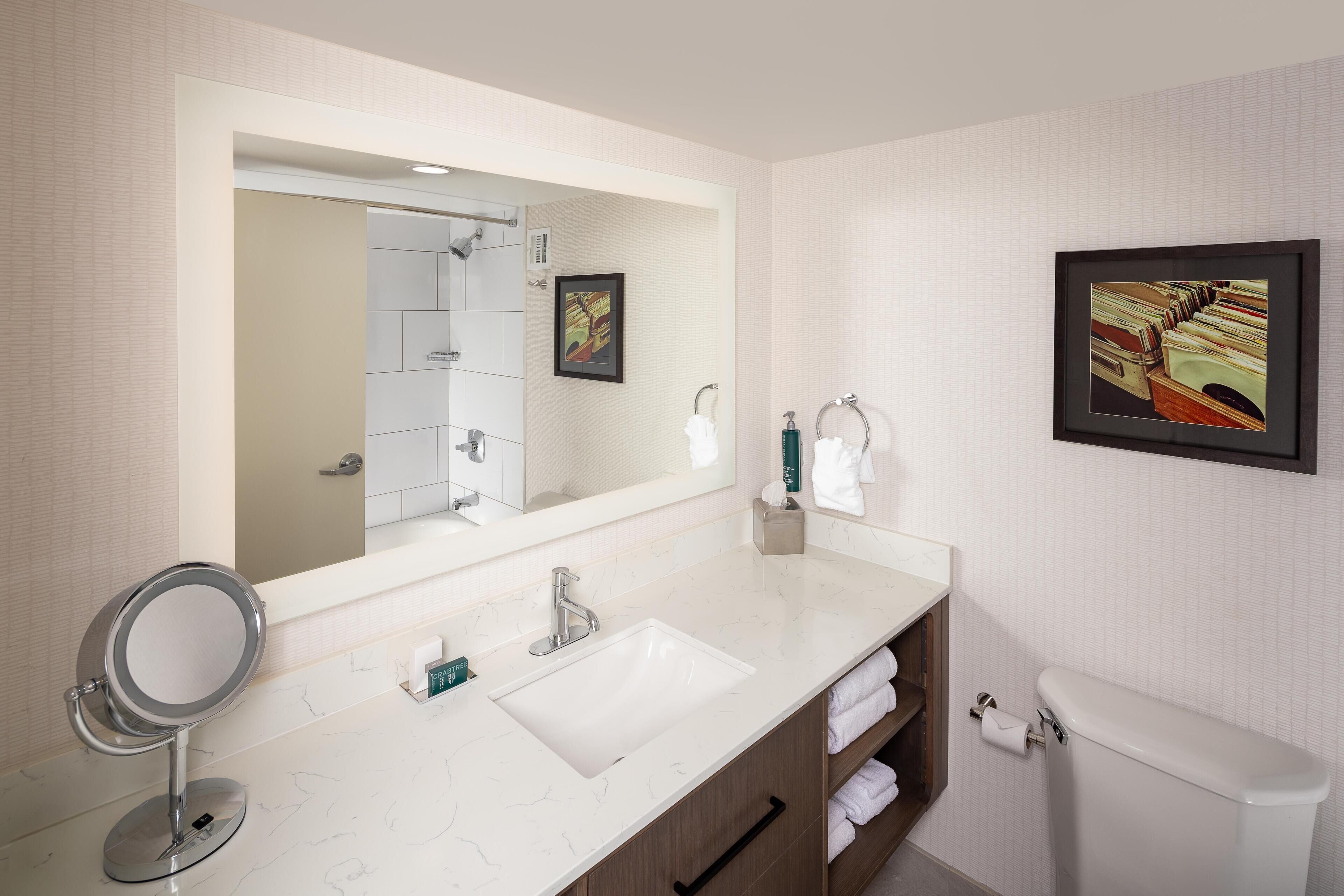 A bathroom with a large mirror, a sink, a toilet, and a framed picture on the wall.