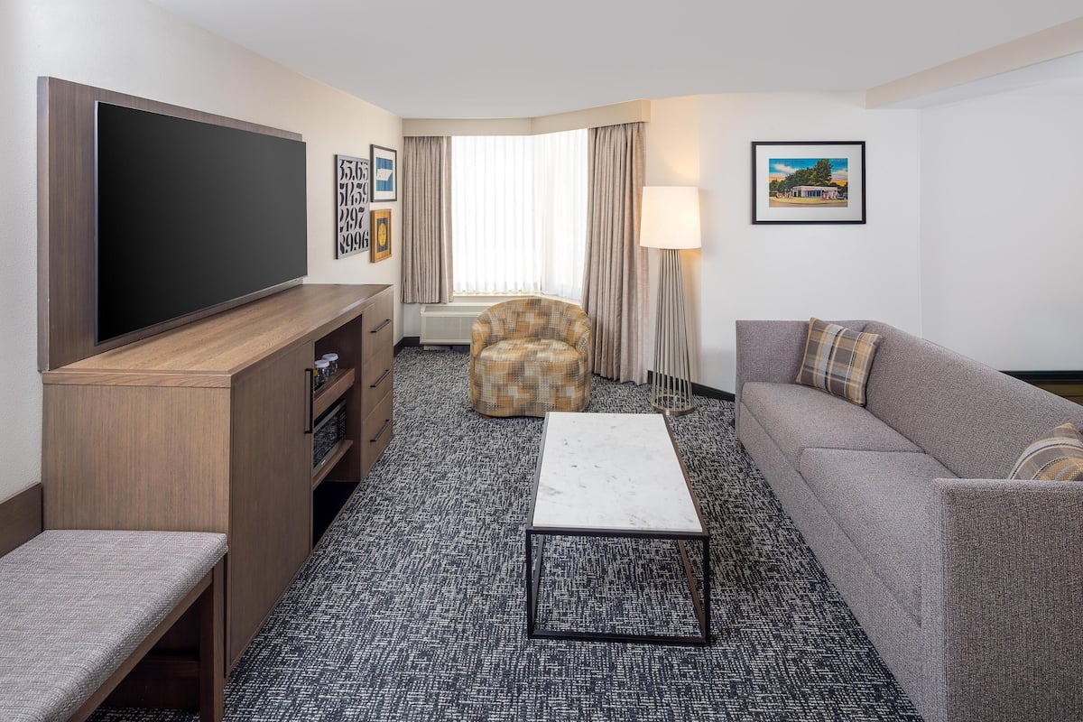 普通套房, 1 張特大雙人床, 非吸煙房 | 客廳 | 42 吋平面電視連有線電視頻道、電視、收費電影