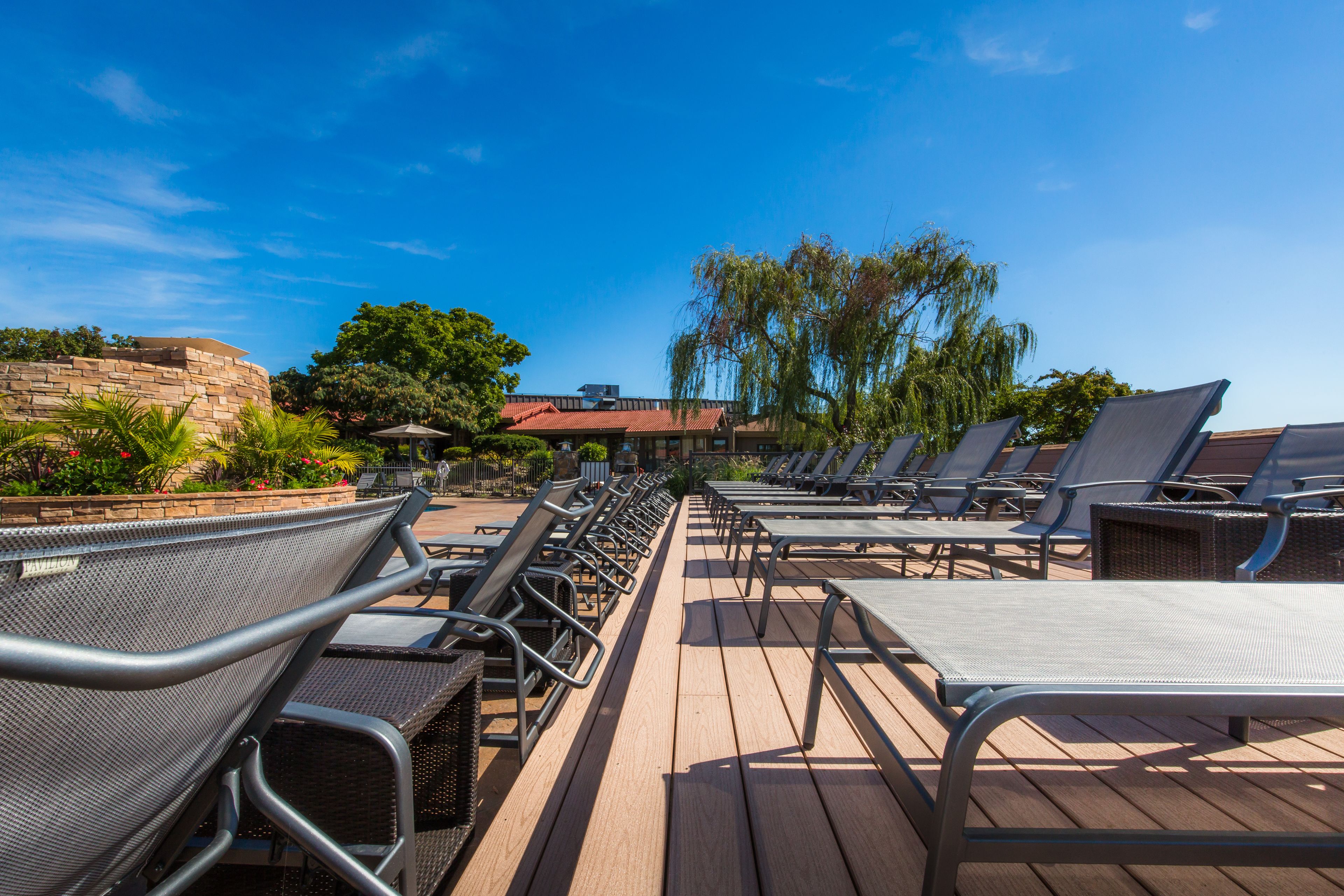 A sunlit outdoor seating area with rows of metal chairs and tables, surrounded by lush greenery and a clear blue sky.