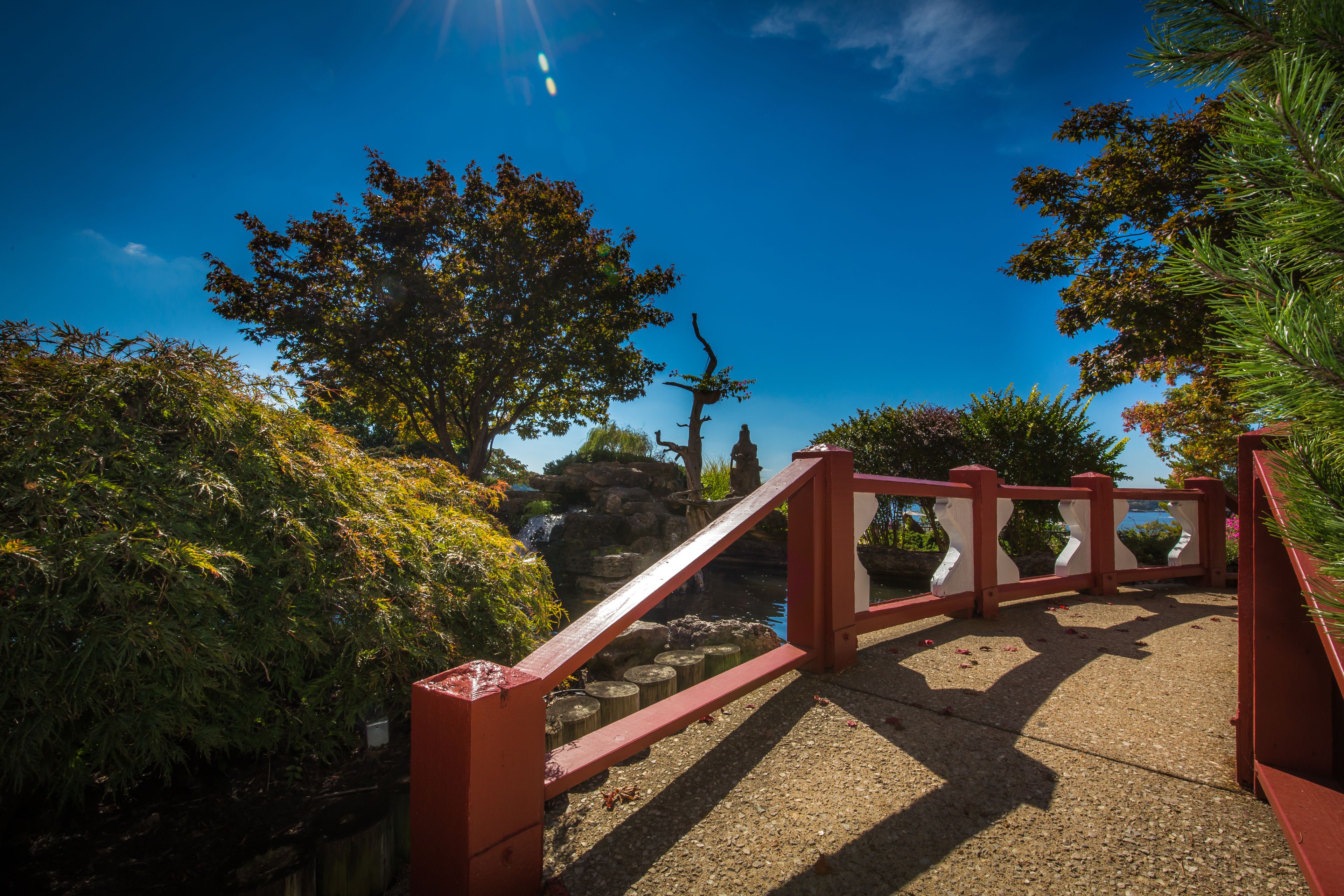 A wooden bridge with a metal railing, surrounded by lush greenery and a clear blue sky.