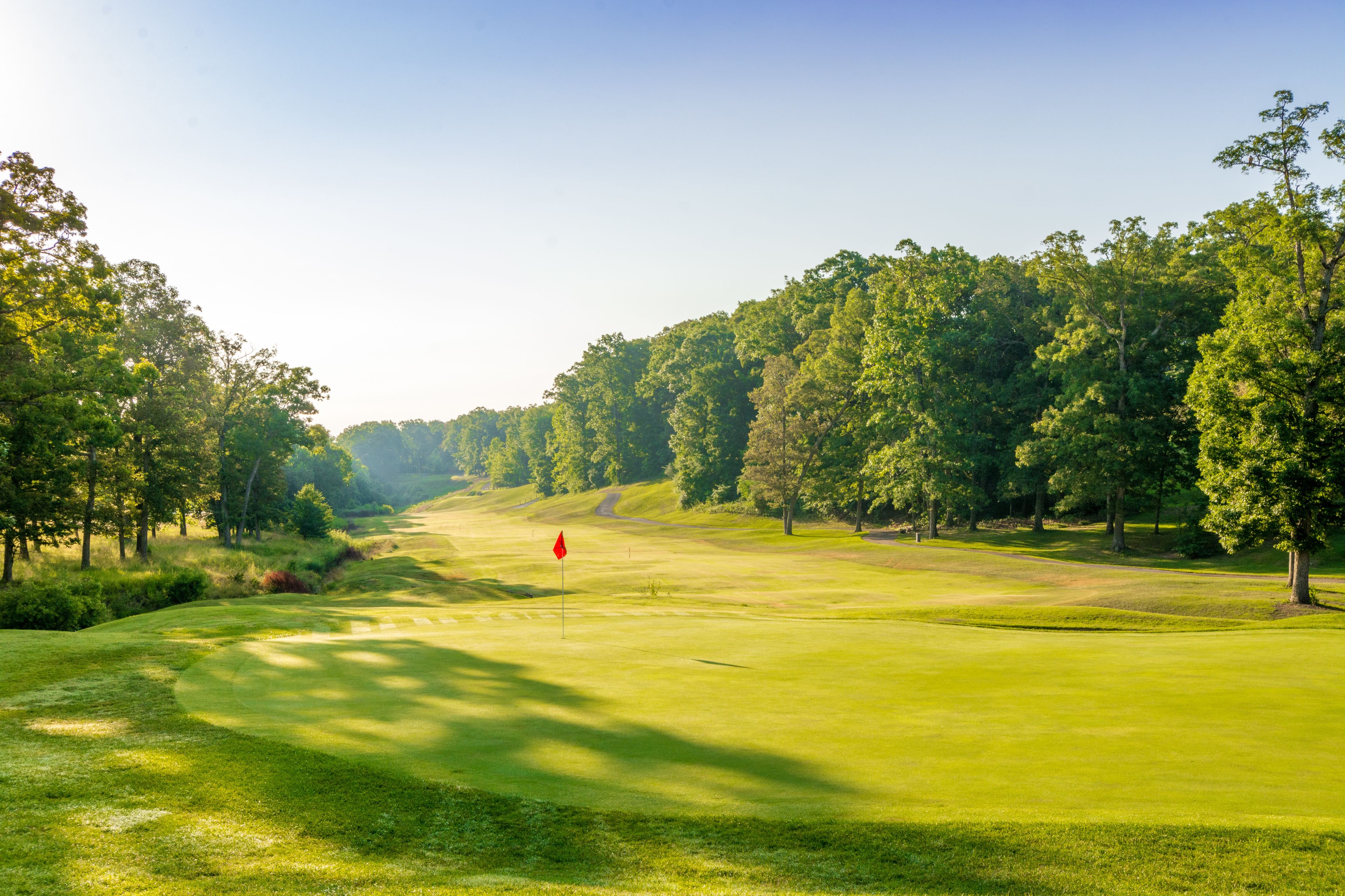 A golf course with a red flag marker, surrounded by dense trees and a clear sky.