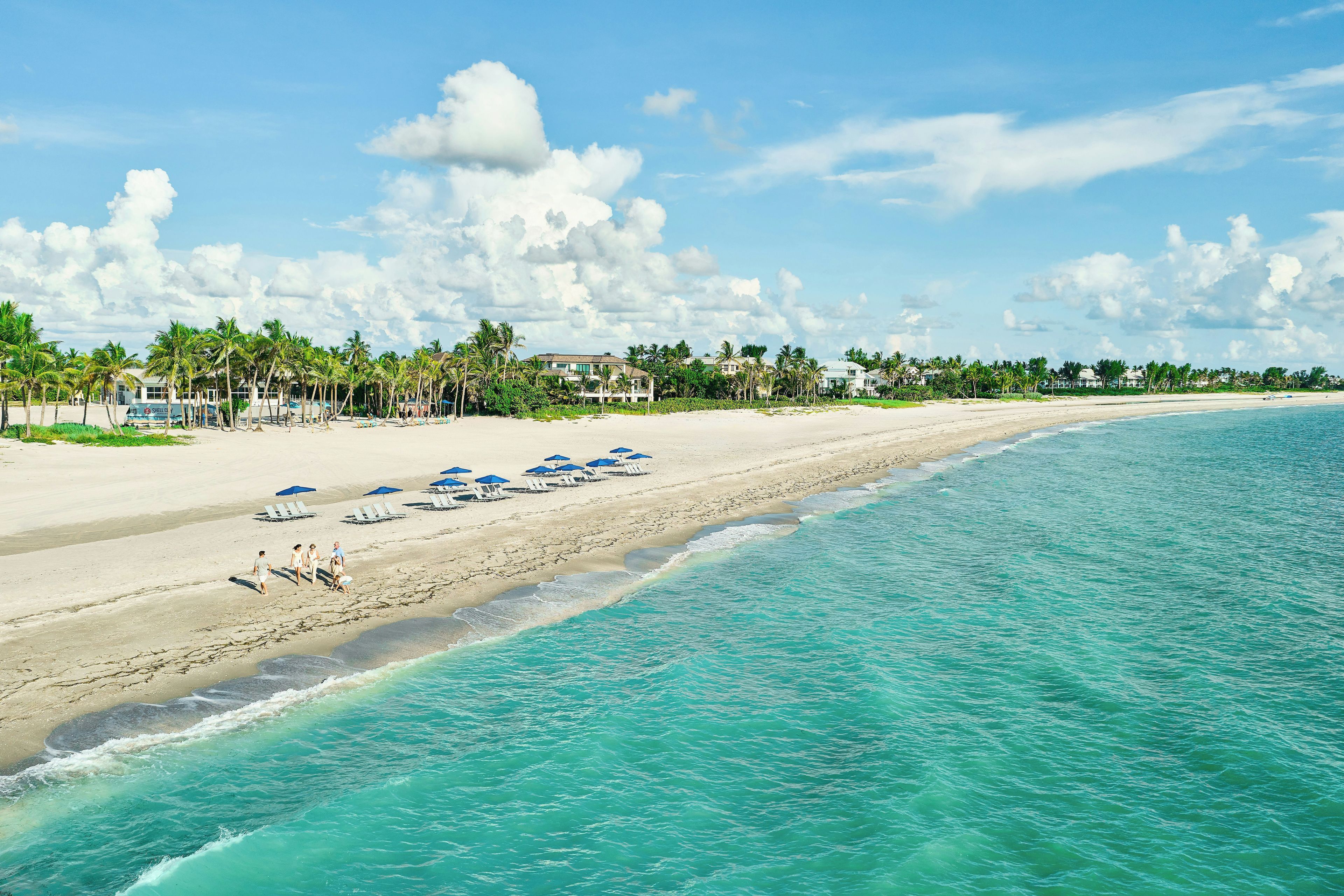 A beach with clear turquoise water, a sandy shore, and a row of blue umbrellas.