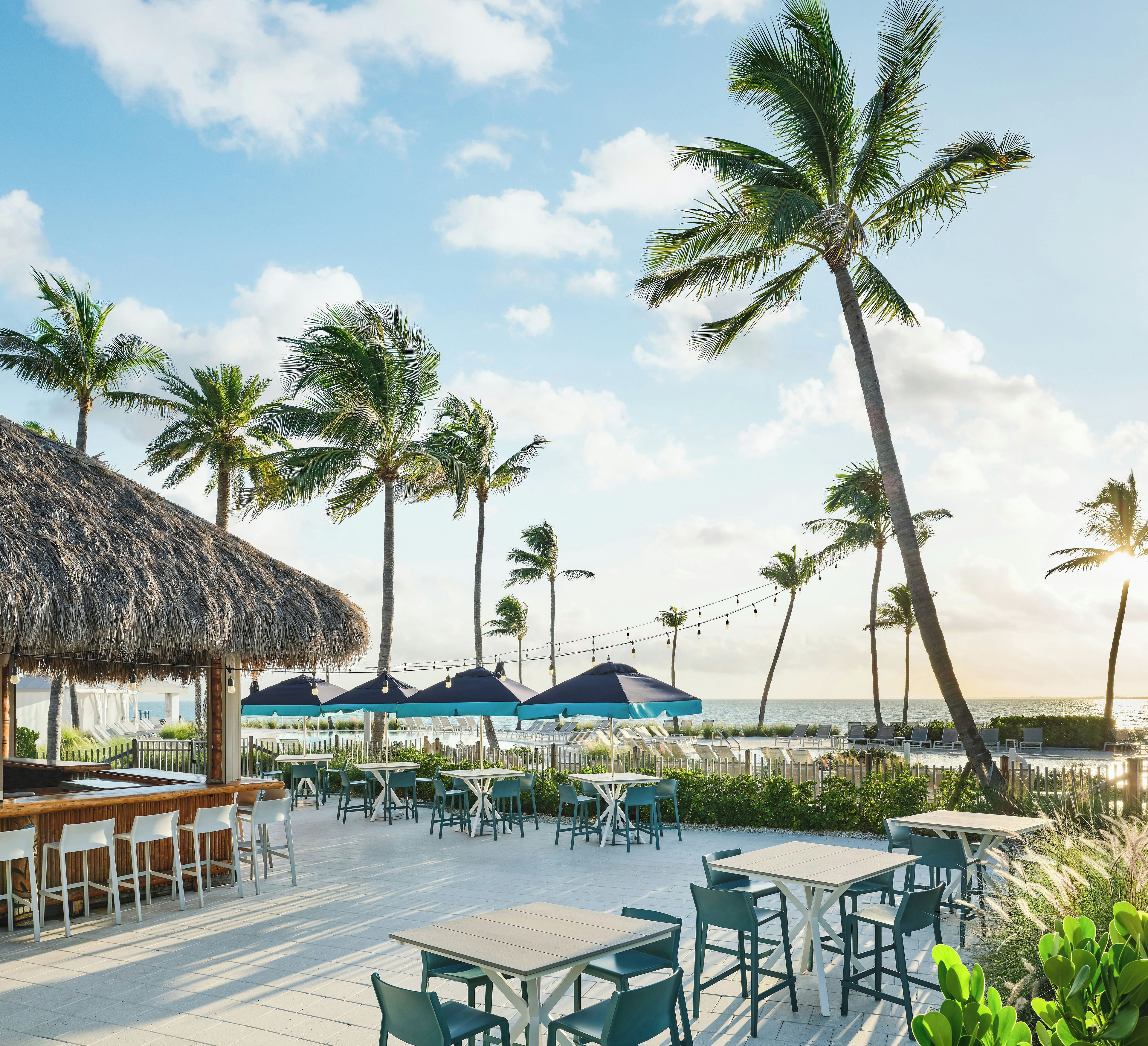 A beachfront patio with tables and chairs, palm trees, and a view of the ocean.