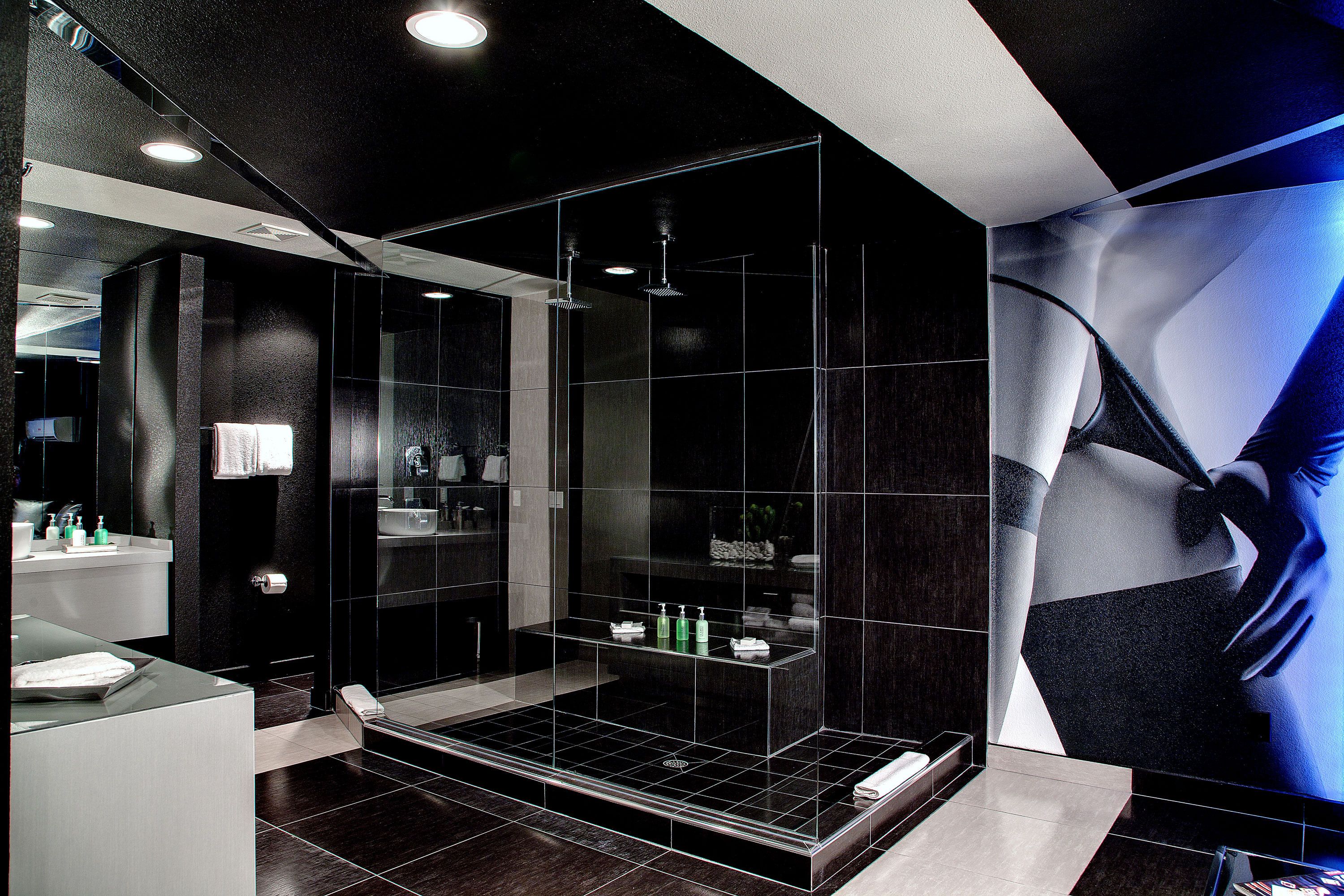 Mega Suite | Bathroom shower