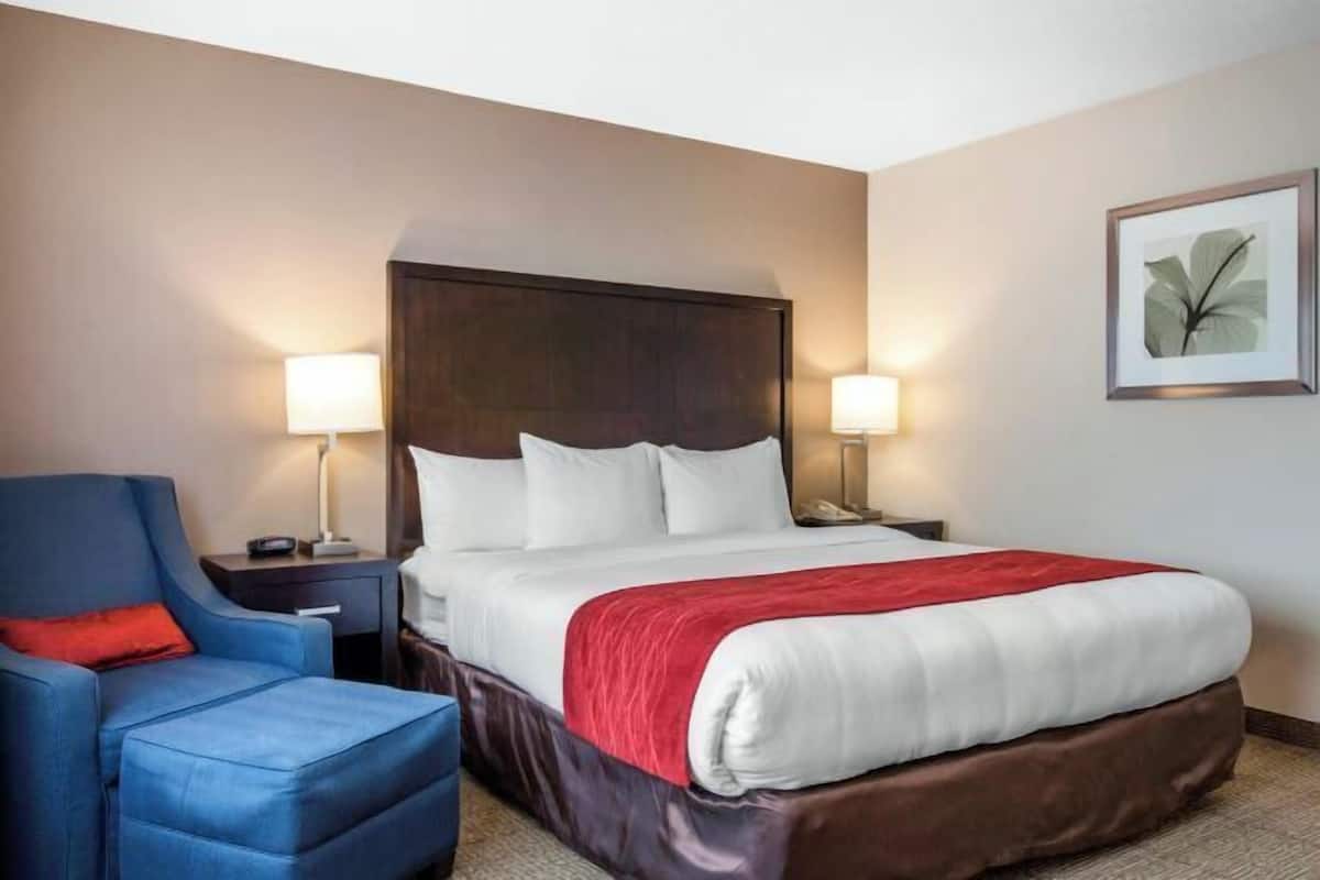 1 chambre, literie de qualité supérieure, bureau