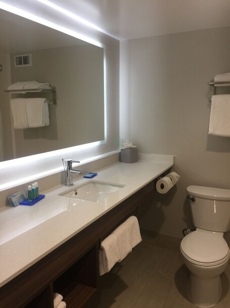 Holiday Inn Express Pigeon Forge Near Dollywood, an IHG Hotel - Image 42