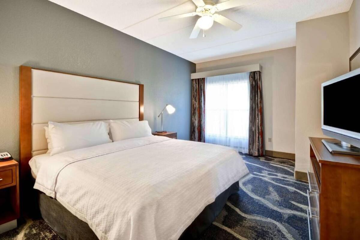 A hotel room with a bed, a TV, a ceiling fan, a nightstand, a lamp, and a window with curtains.