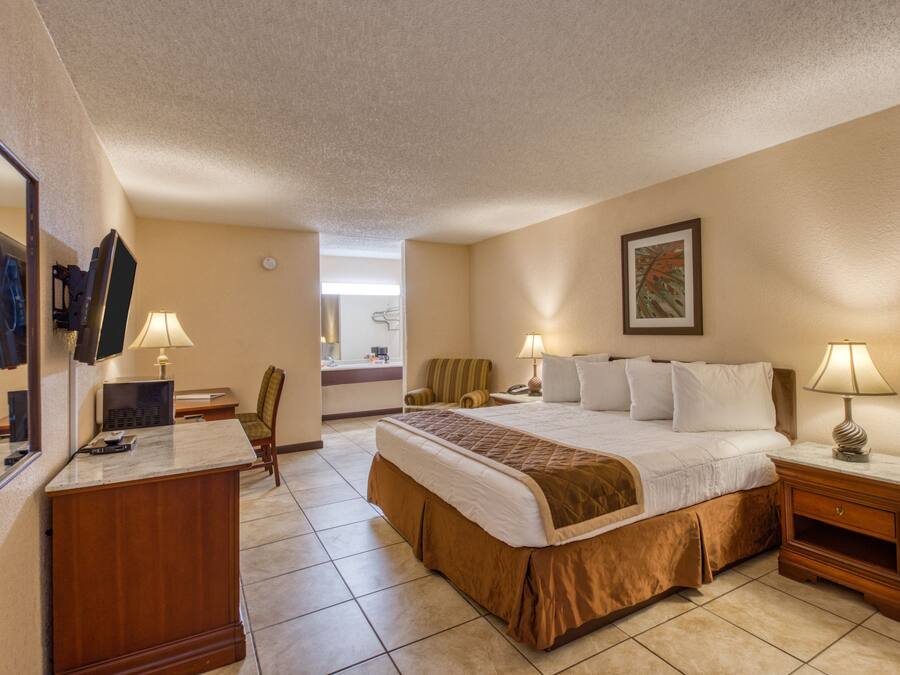 Ropa de cama de alta calidad, escritorio, cortinas opacas