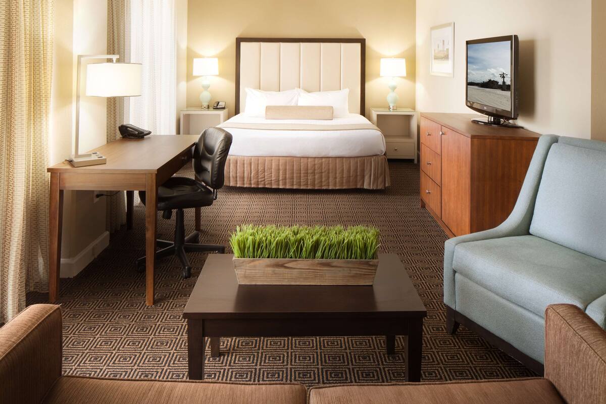Une chambre d’hôtel comprenant un lit, un bureau, une chaise, un canapé, une télévision et une petite table avec une plante.