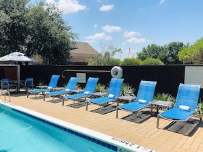 Outdoor pool, sun loungers