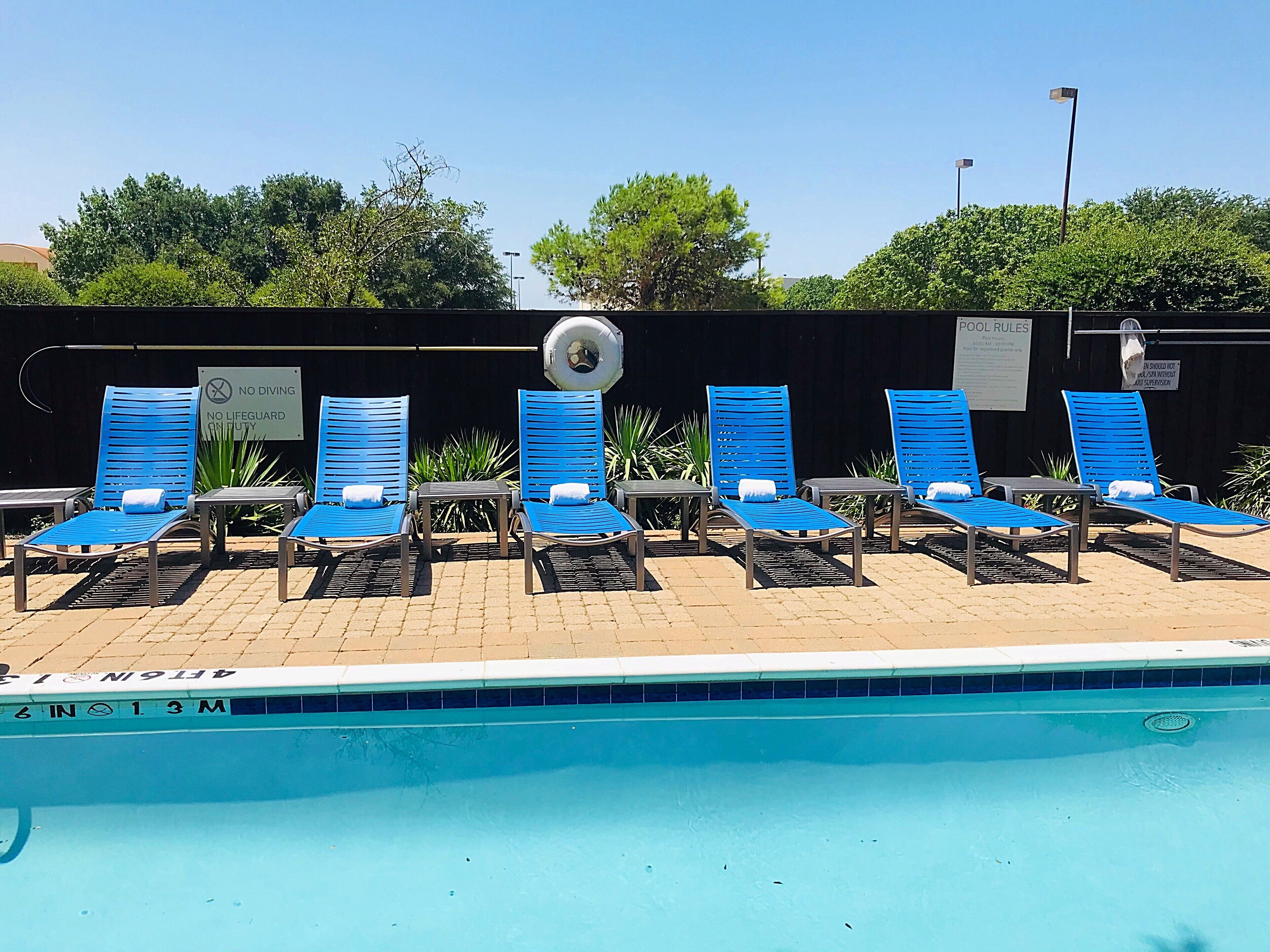 outdoor pool, pool loungers