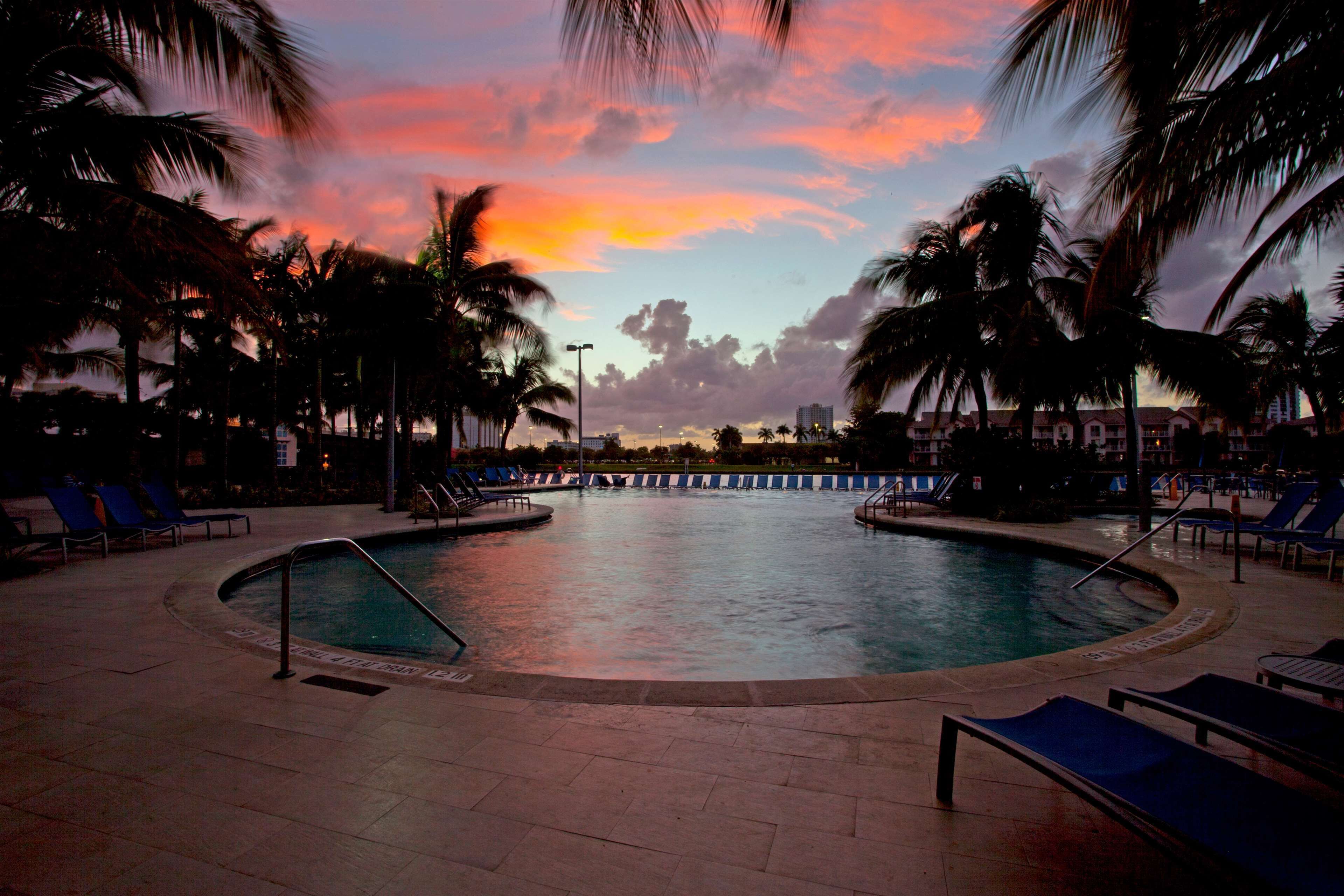 A pool area with lounge chairs and palm trees, surrounded by a low wall.
