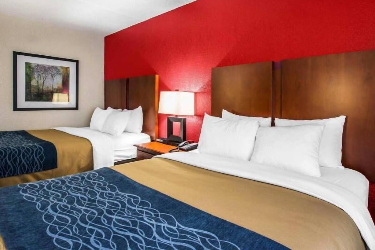 A hotel room with two beds, a red accent wall, a framed picture on the wall, and a bedside table with a lamp.