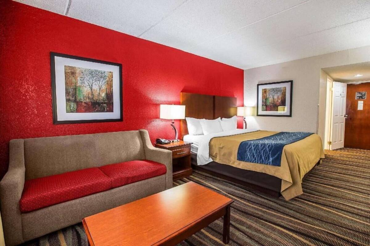 A hotel room with a red accent wall, a bed, a sofa, a nightstand, and two framed pictures.