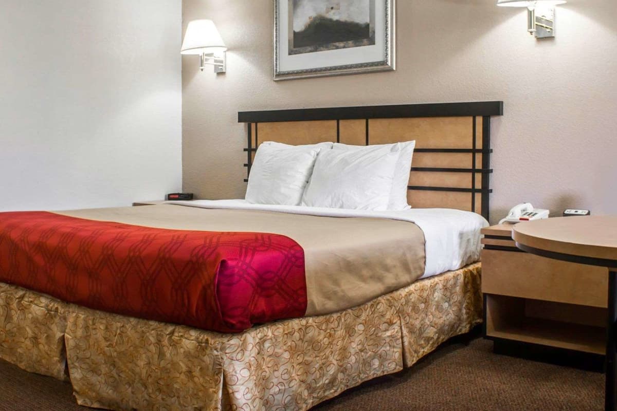 Iron/ironing board, free cribs/infant beds, rollaway beds, free WiFi