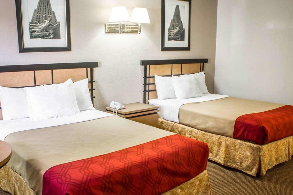 Iron/ironing board, free cribs/infant beds, rollaway beds, free WiFi