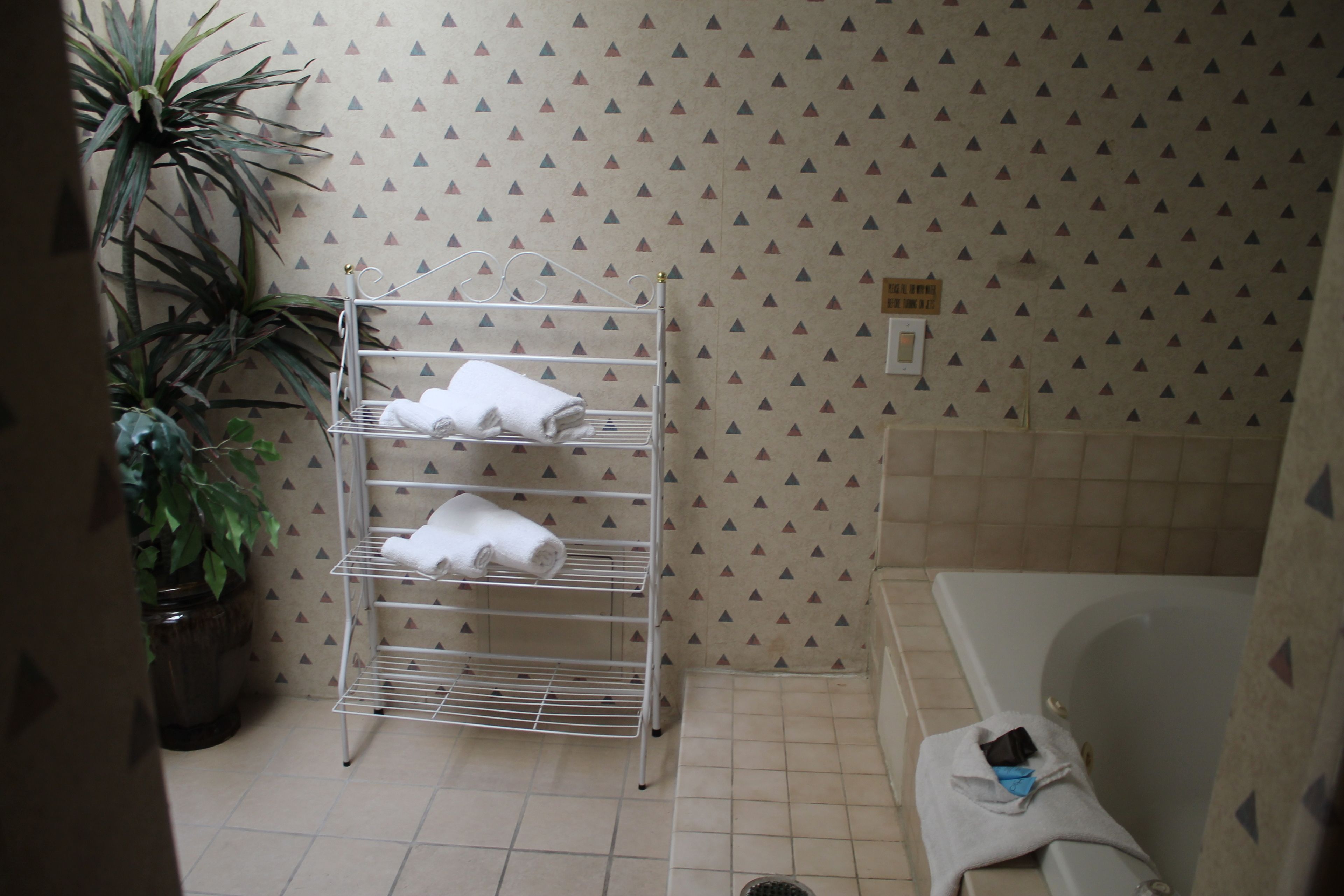 Une salle de bain avec une baignoire blanche, un porte-serviettes en métal avec des serviettes et une plante en pot.