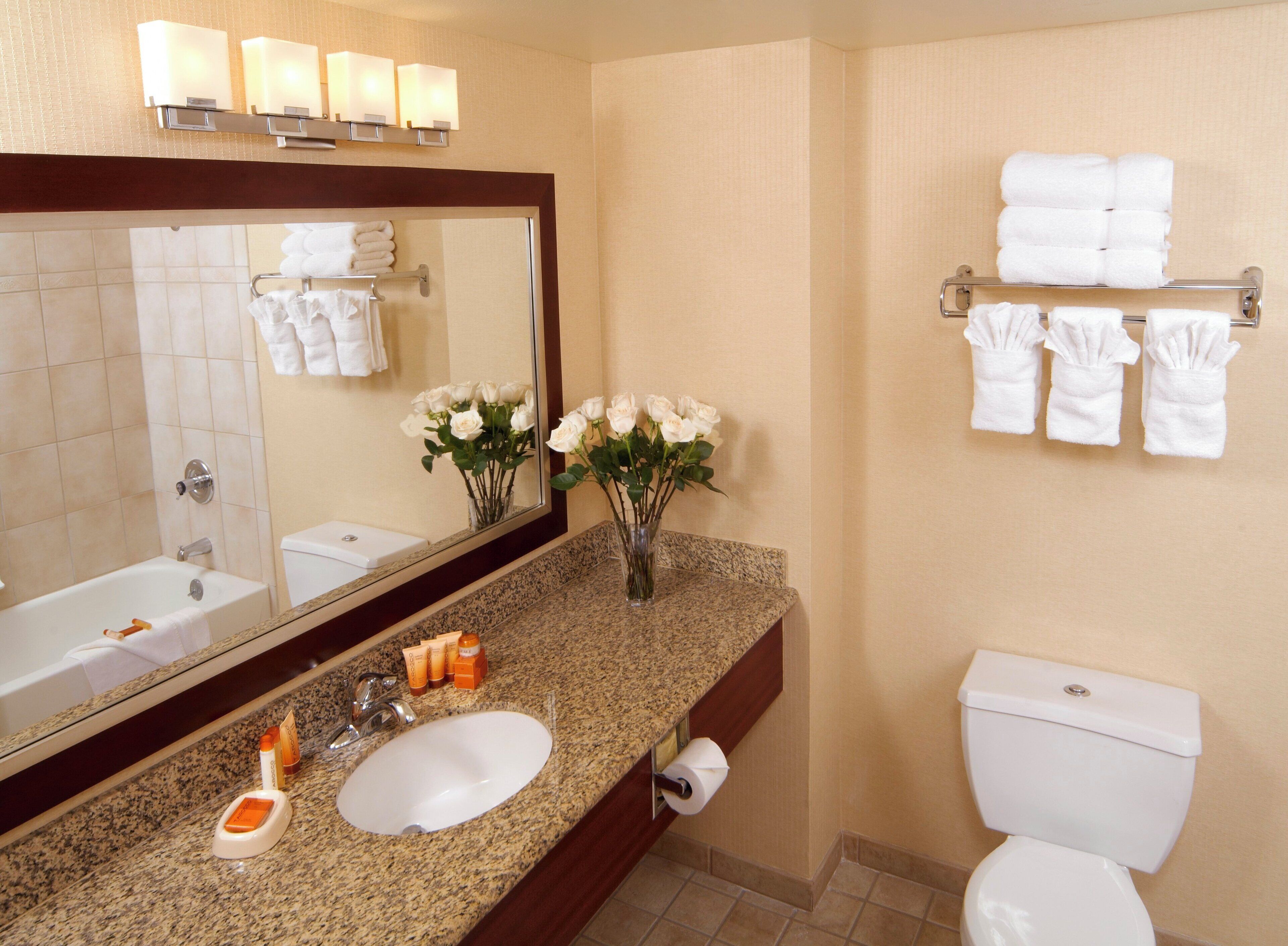 combined shower/bathtub, free toiletries, hair dryer, towels