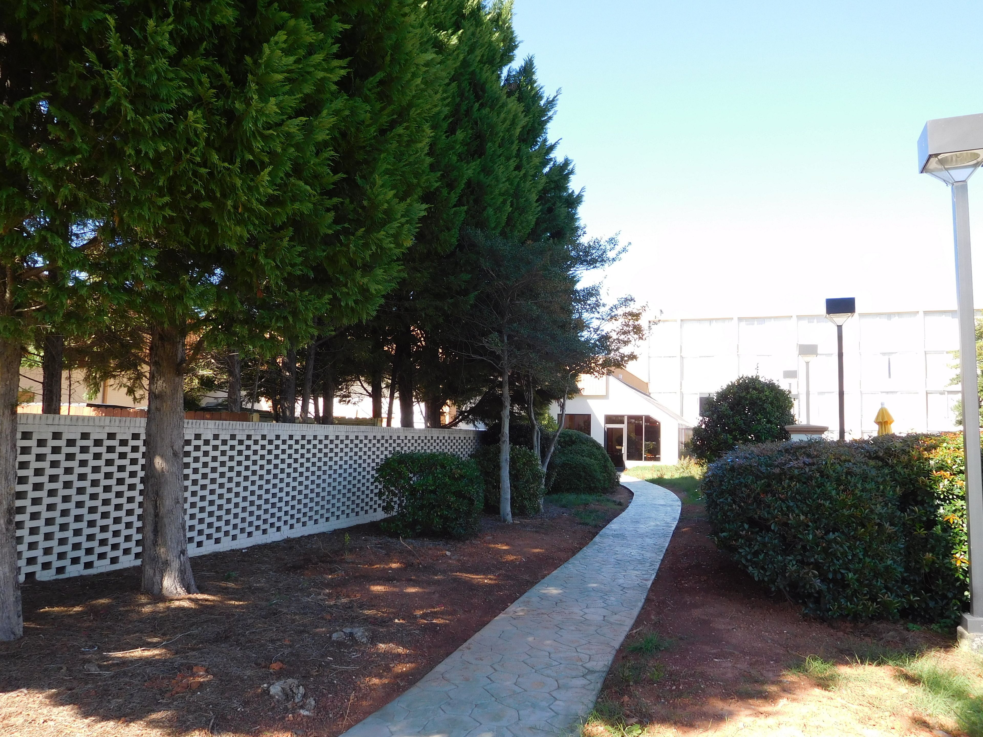 A pathway lined with trees and a fence, leading to a building with large windows.