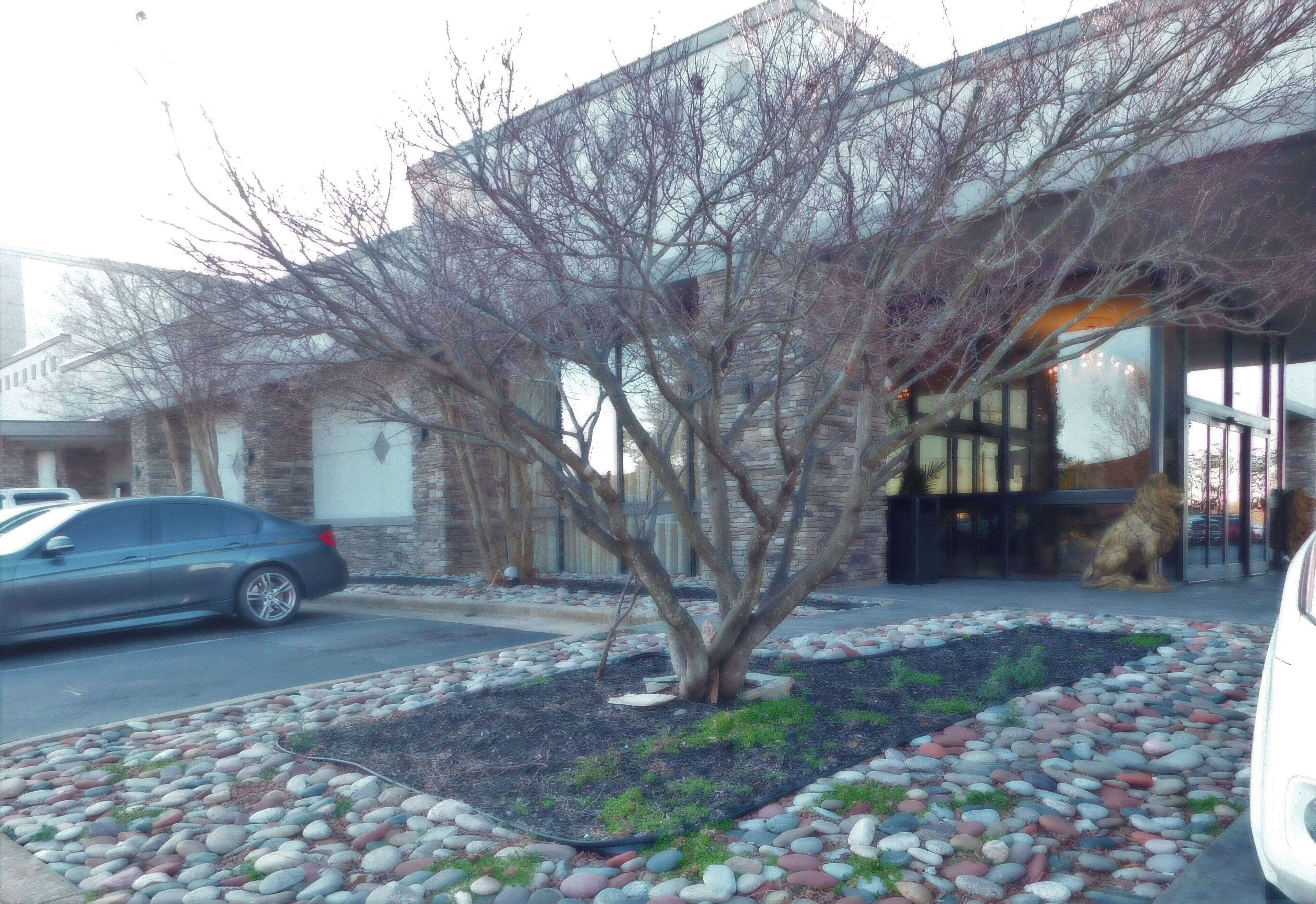 Un edificio con fachada de piedra y un árbol en primer plano.