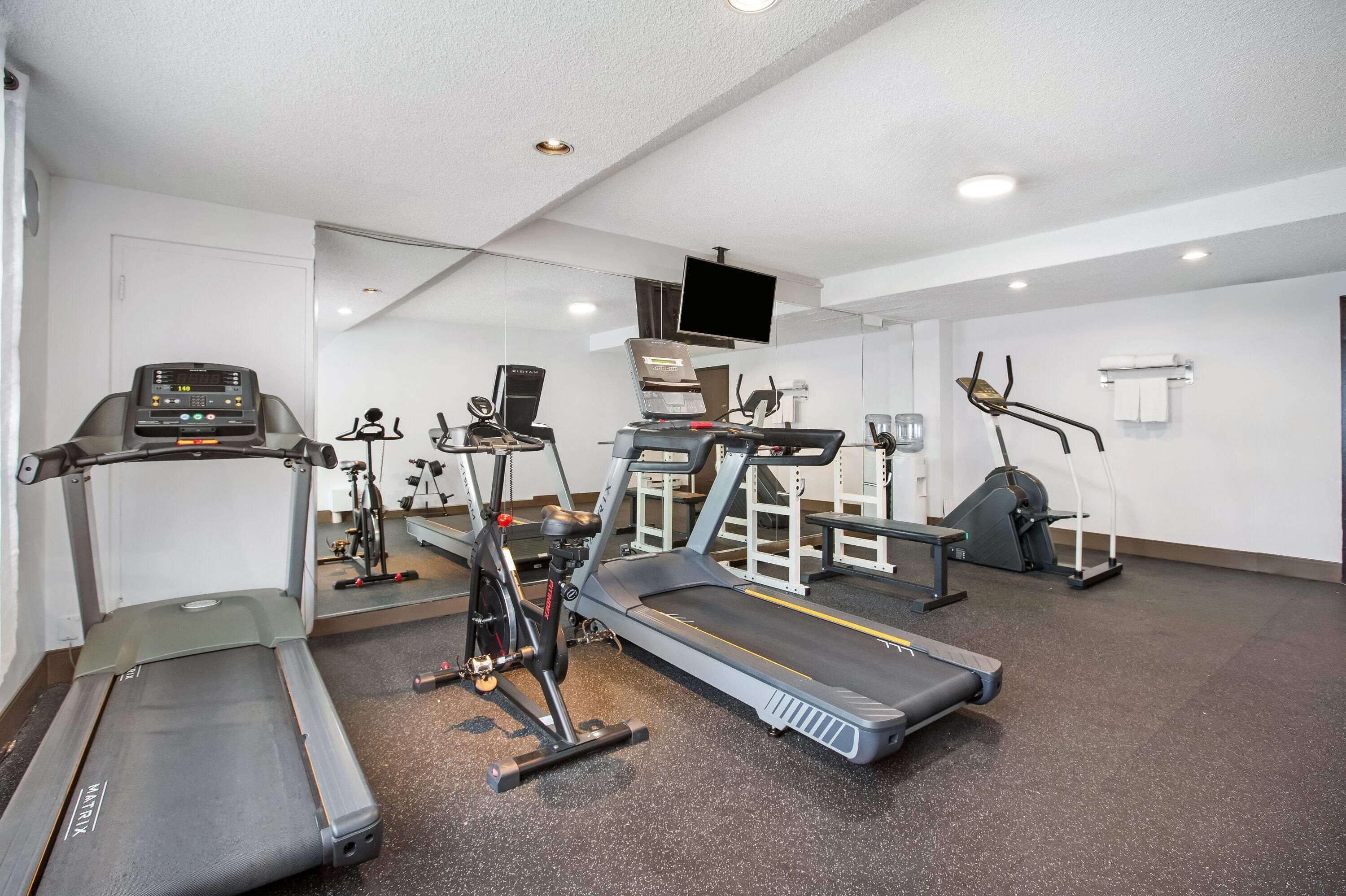 A gym with treadmills, stationary bikes, and weight machines.