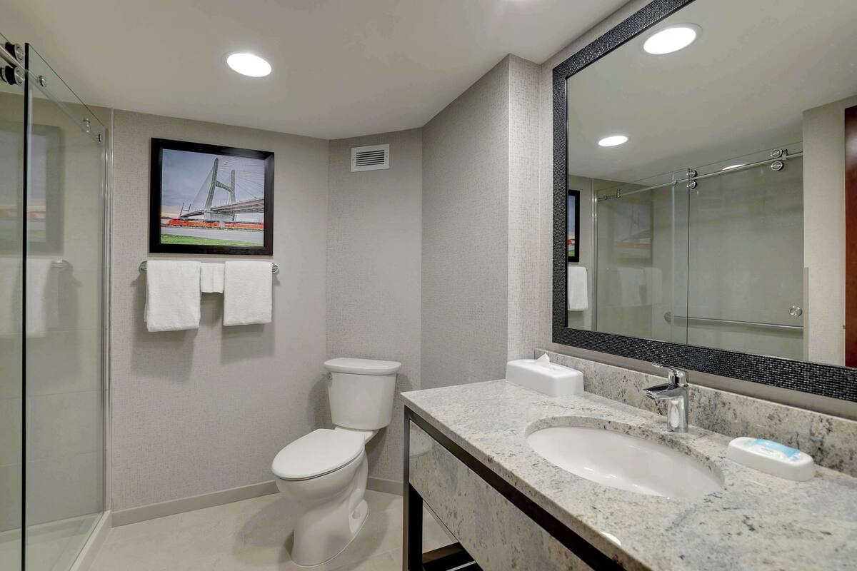 combined shower/bathtub, free toiletries, hair dryer, towels