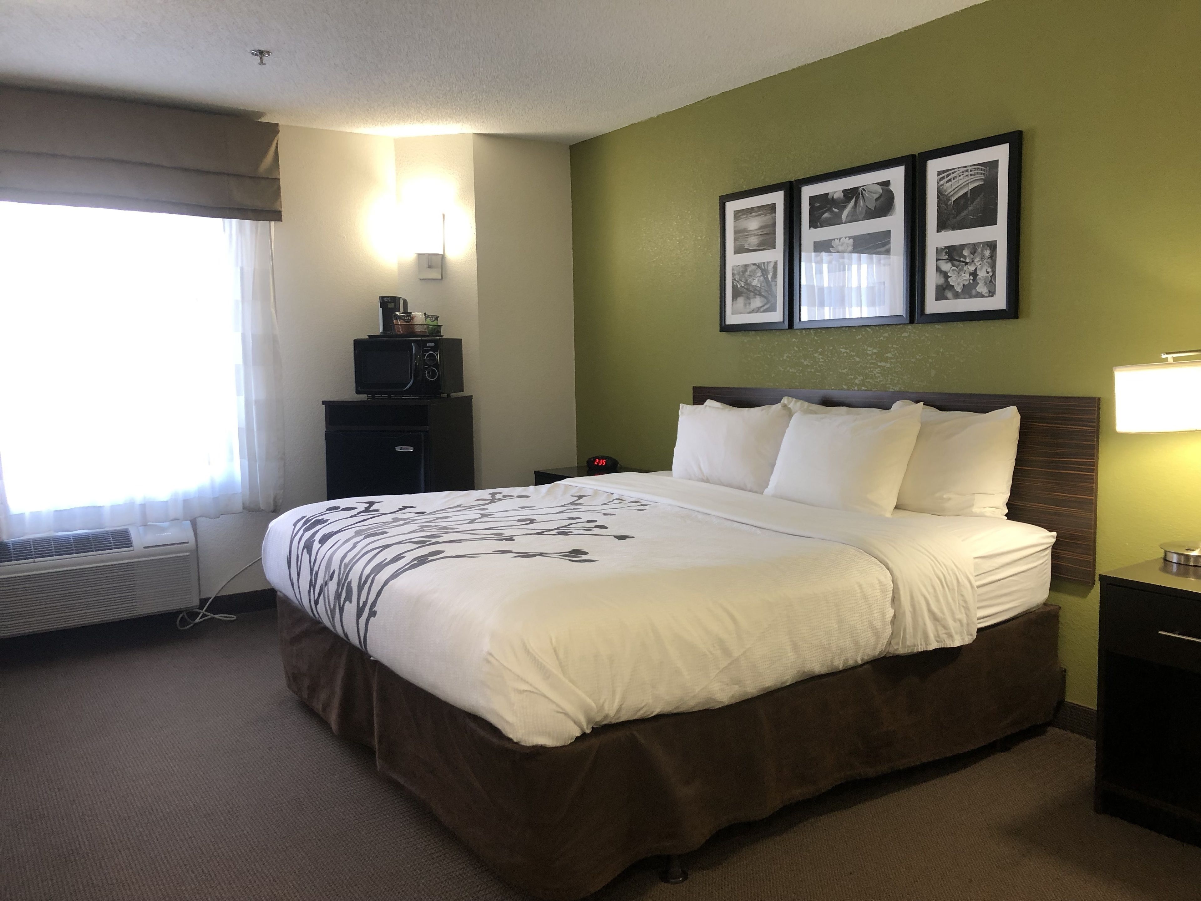 A hotel room with a bed, a nightstand, a desk, a wall-mounted TV, and a window with curtains.
